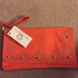 Cute Clutch Purse