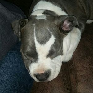 Meet your Posher, Wallace