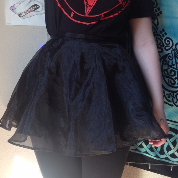 H&M Satin Mesh Skater Skirt