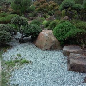 Meet your Posher, Allen