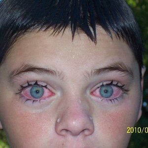 Meet your Posher, Pamela