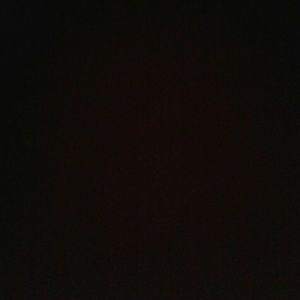 Meet your Posher, Joey