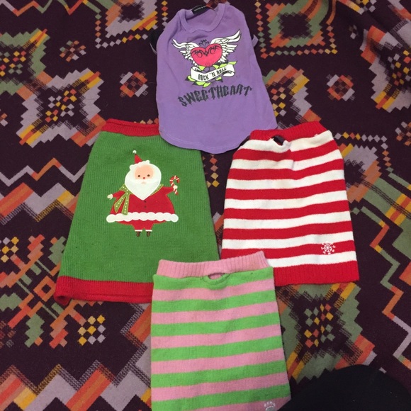 Dog sweaters!