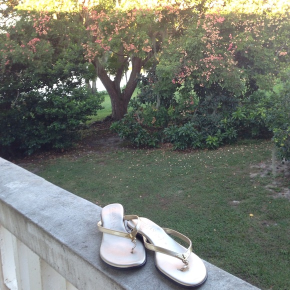 Italian shoe makers