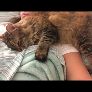 Meet your Posher, Sara