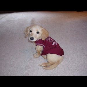 Meet your Posher, Dana