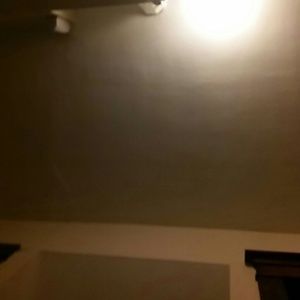 Meet your Posher, Lilly