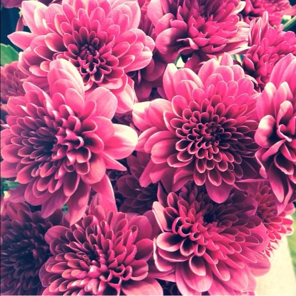 Meet Your Posher🌻 - Picture 5 of 5