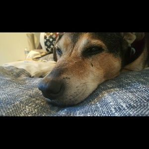 Meet your Posher, Estella