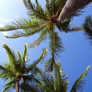 Meet your Posher, Deidra