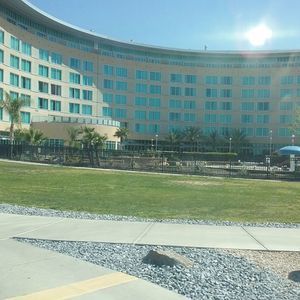 Meet your Posher, Gladys