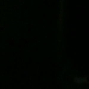 Meet your Posher, Greg