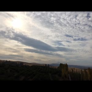 Meet your Posher, Janette