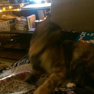 Meet your Posher, Ernie