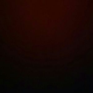 Meet your Posher, Carmen