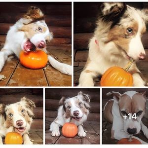 Meet your Posher, Lena