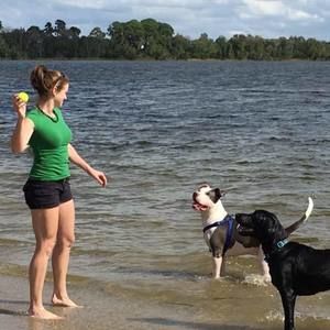 Meet your Posher, Casey