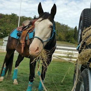 Meet your Posher, Kayla