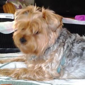 Meet your Posher, Joanne