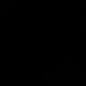 Meet your Posher, Ana