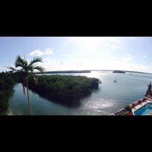 Meet your Posher, Ella