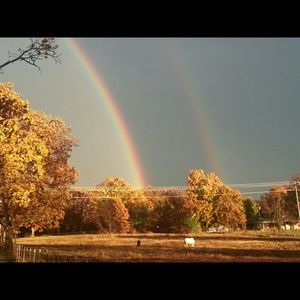 Meet your Posher, Yvonne