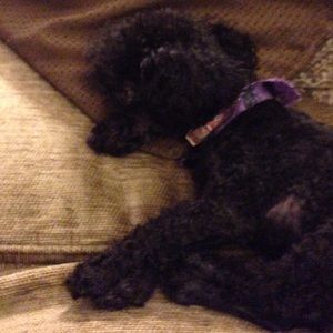 Meet your Posher, Gina