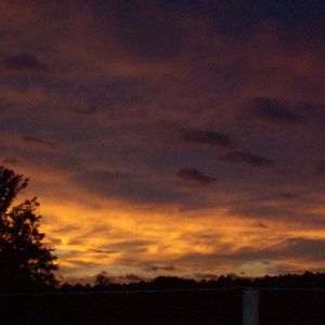 Meet your Posher, Annie