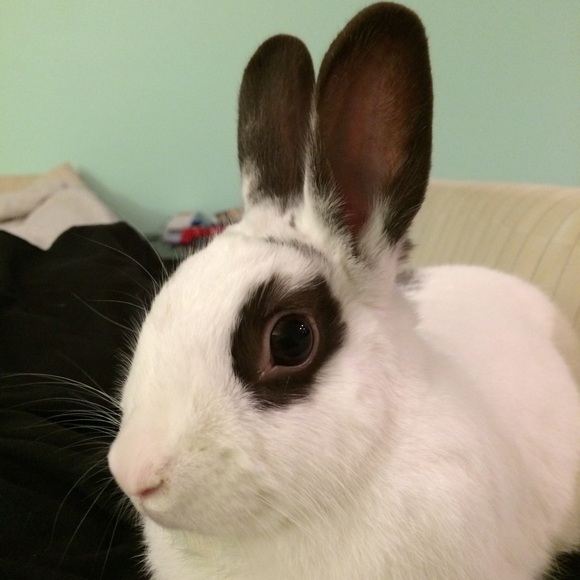 Meet Your Posher - Picture 2 of 5