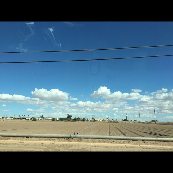 Meet your Posher, Lexi - Picture 1 of 1