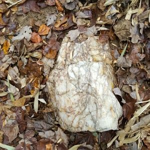 Meet your Posher, Marie