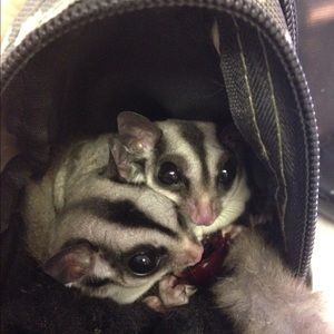 Meet your Posher, Sandra