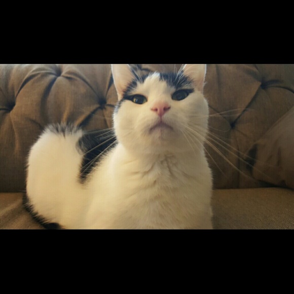 Meet your Posher, Heather - Picture 1 of 1