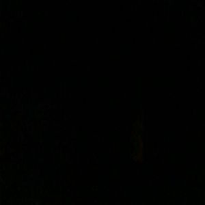 Meet your Posher, Lydia