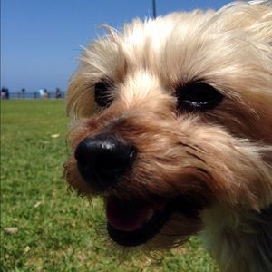 Meet your Posher, Shanna