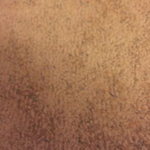 Meet your Posher, Gabbi