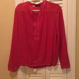 The Limited Sheer Long sleeve blouse