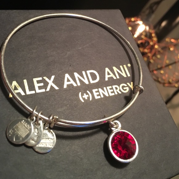 Alex and Ani Jewelry - Alex and Ani January Birthstone Charm Bangle✨