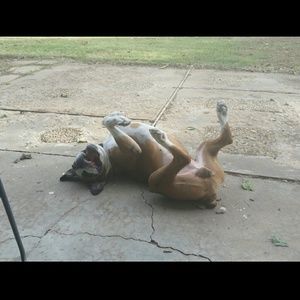 Meet your Posher, Robin