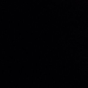 Meet your Posher, Myeisha