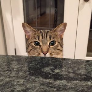 Meet your Posher, Taylor