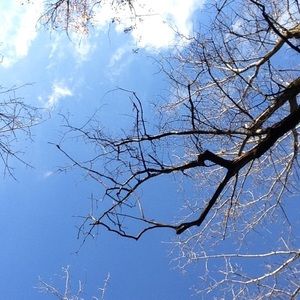 Meet your Posher, Hailey