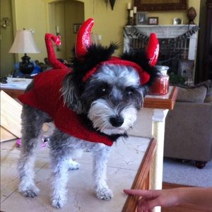 Meet your Posher, Wendy