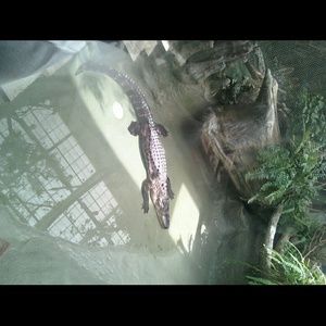 Meet your Posher, Monica