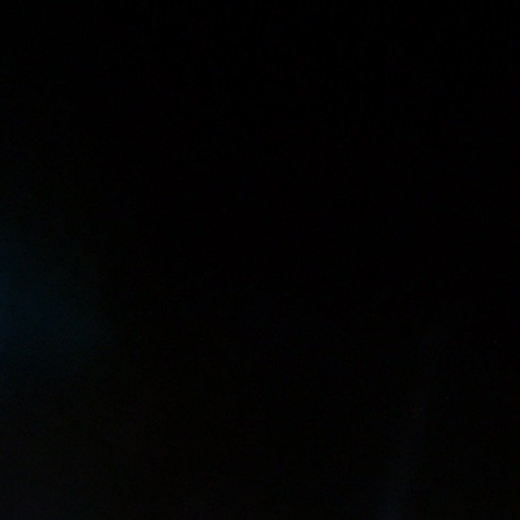 Meet your Posher, Callie