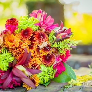 Meet your Posher, Ya chen