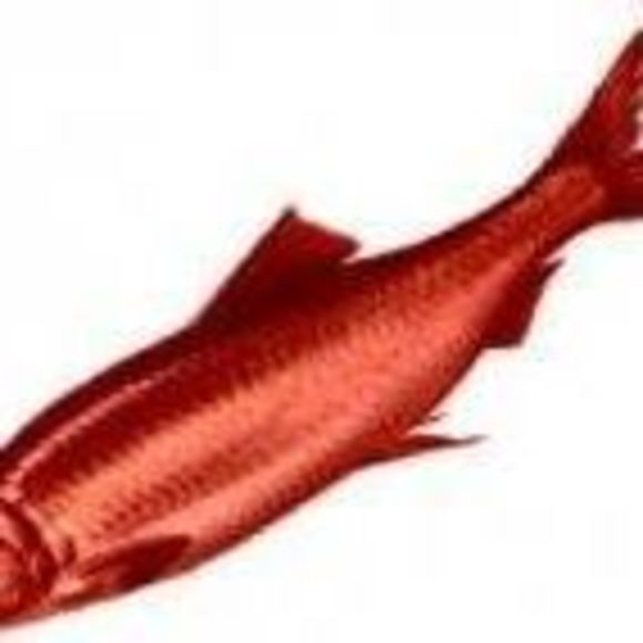 Meet your Posher, Garnet - Picture 1 of 1