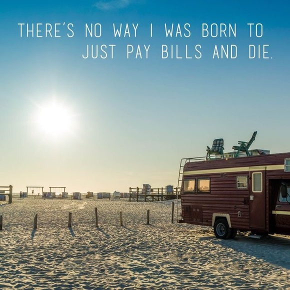 Meet your Posher, Raelene - Picture 1 of 1