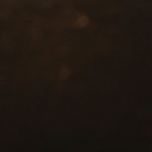 Meet your Posher, Casee