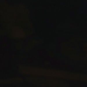 Meet your Posher, Sue